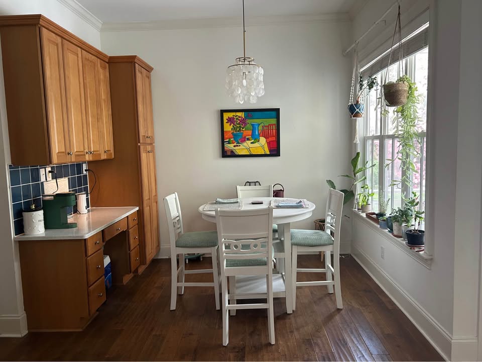 Sunny dining nook with hanging plants and window light